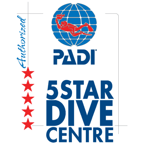 padi5 dive center roatan transparent