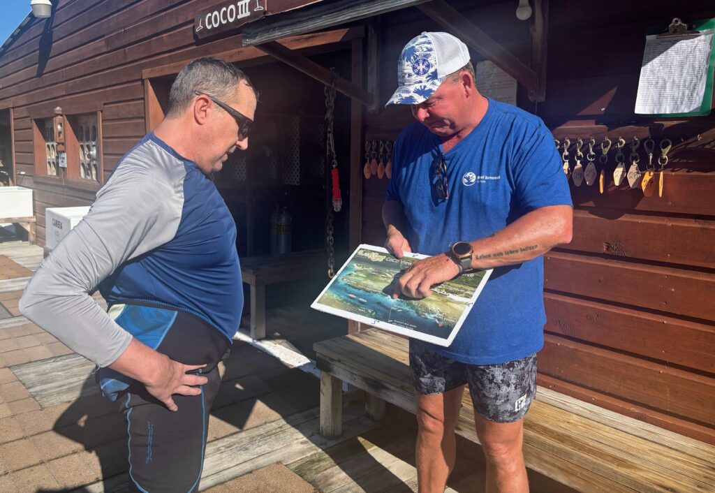 matt divemaster internship teaching