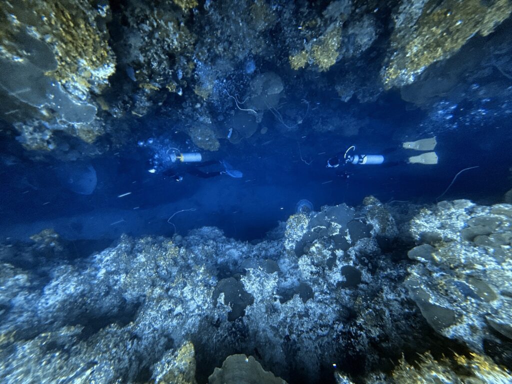 uwa 260102 152110 v01