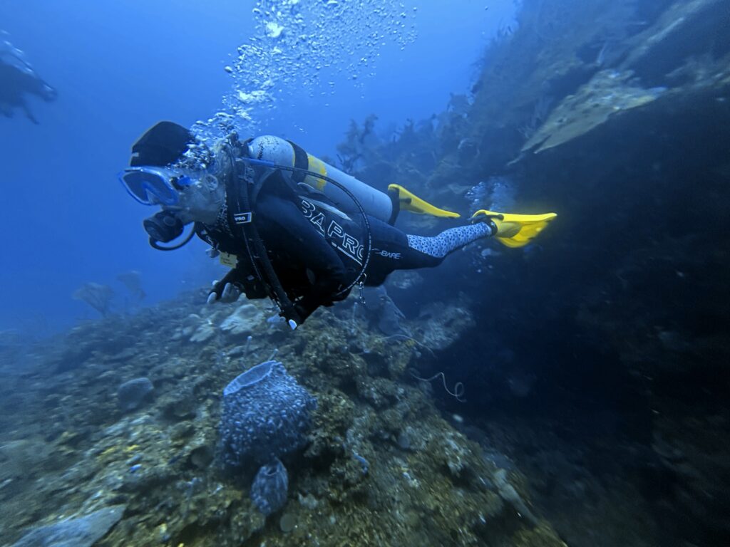 uwa 260102 152538 v01