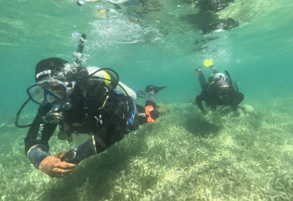 uwa 260211 151611 edit