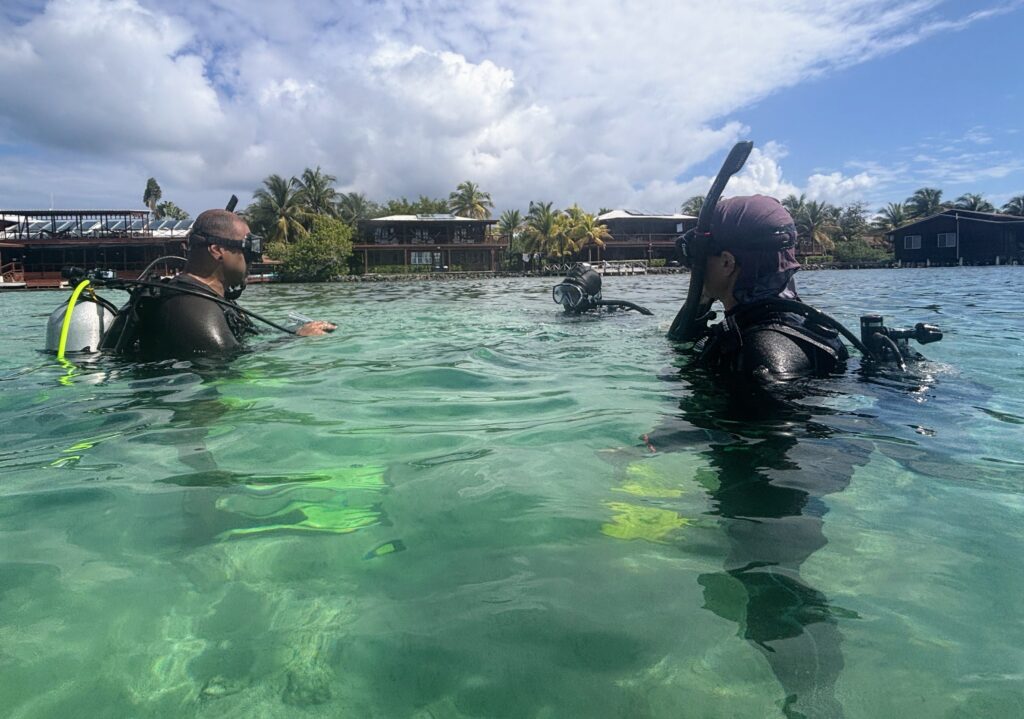 uwa 260212 161134 edit