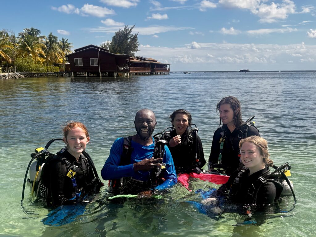 dockside students frontyard